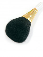 3D-G1-1WS 3D�ե����� ���硼�ȼ� �ե����� 3D ������